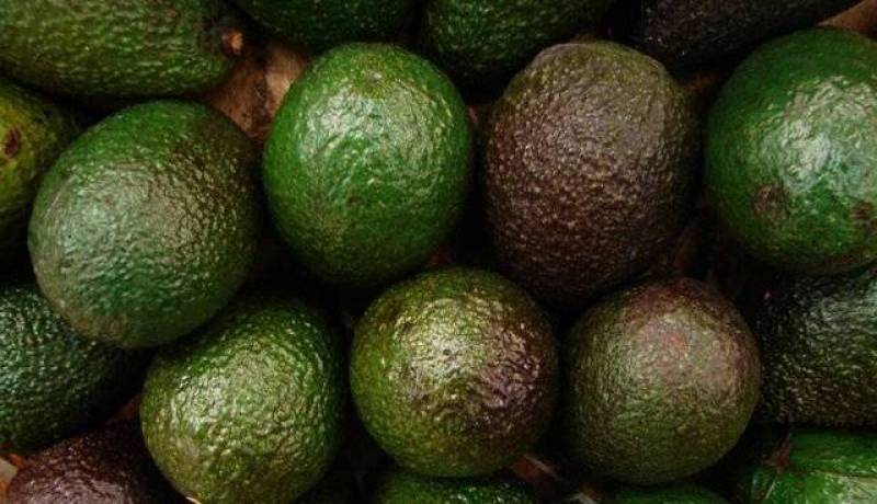 ۱۰ ماده غذایی سالم که مصرف بیش از حد آنها آسیب‌رسان است